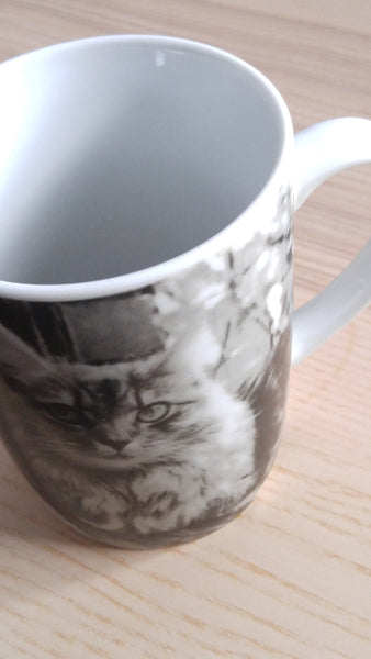 Meow meow mug